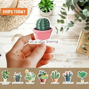 Plantensticker voor plantenliefhebbers, verpakking van 8 stuks, grappig plant moedercadeau, sticker cactus waterfles beker, sticker schattige succulente, kamerplant cadeau