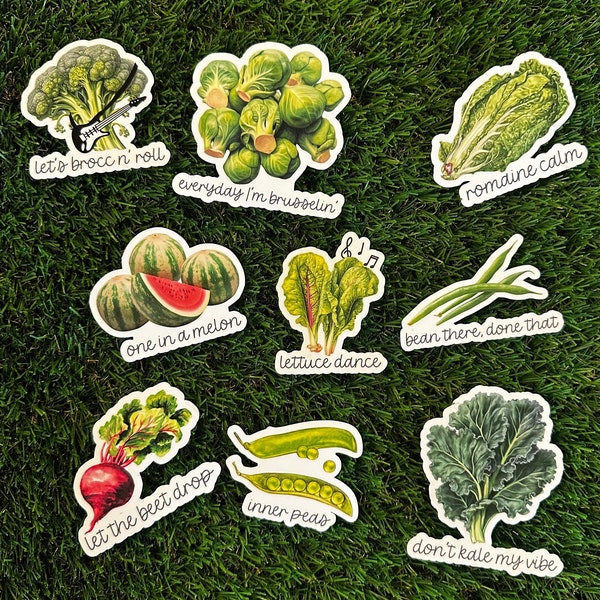 9 pcs Vegetables and Produce Pun Stickers | Funny Plant Stickers | Punny Plant Lover Gift