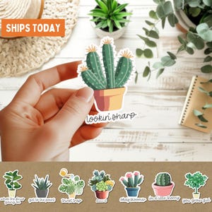 Stickers vetplant woordspeling, verpakking van 8 stuks, grappig cadeau plantenliefhebber, cactus waterfles beker sticker, laptopsticker, schattige kamerplant tuin