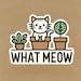 What Meow