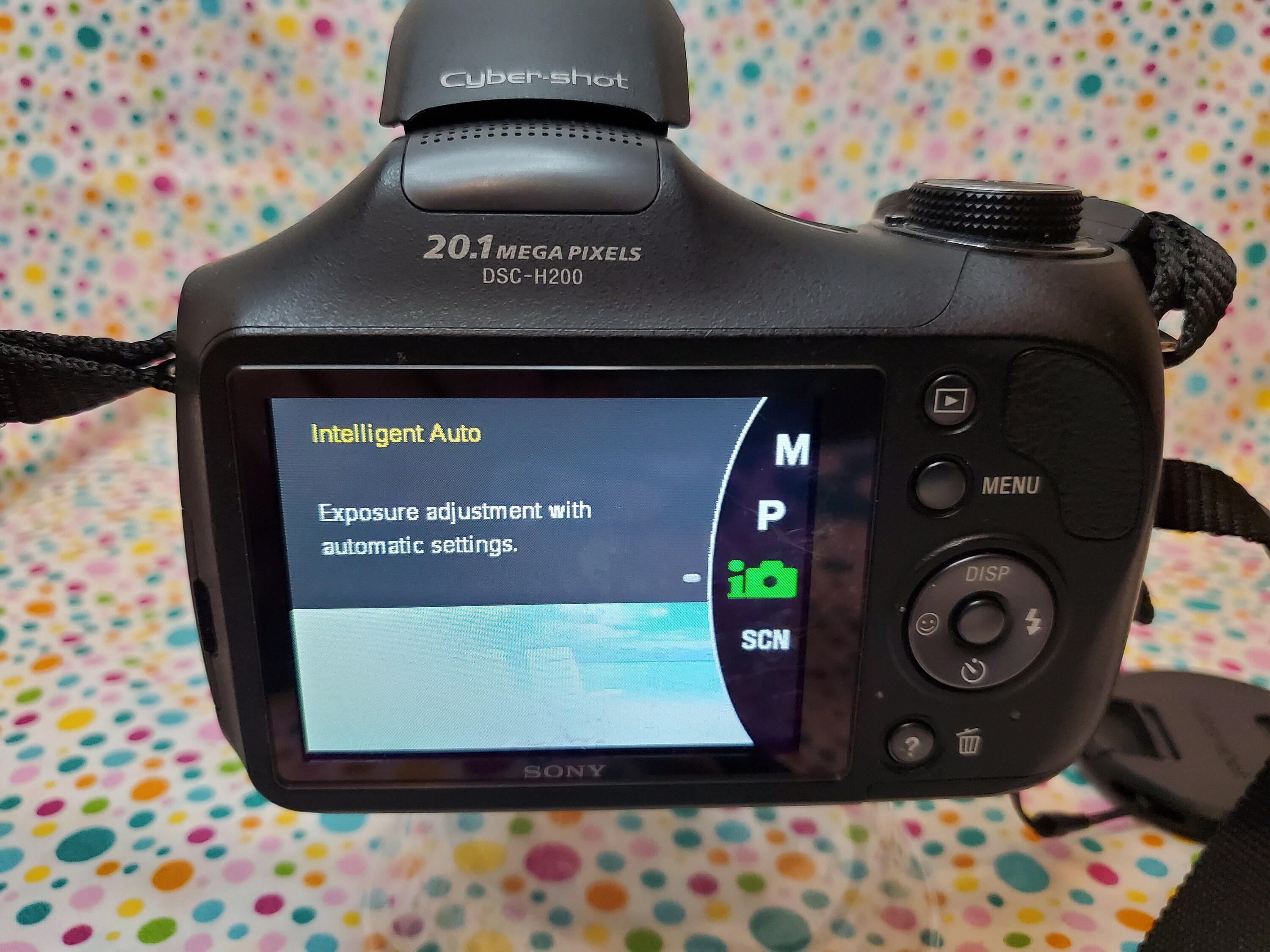 sony cyber shot h200