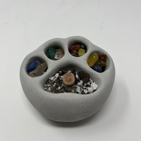 Cement paw planter with colored gemstones and live Lithop aka living rock