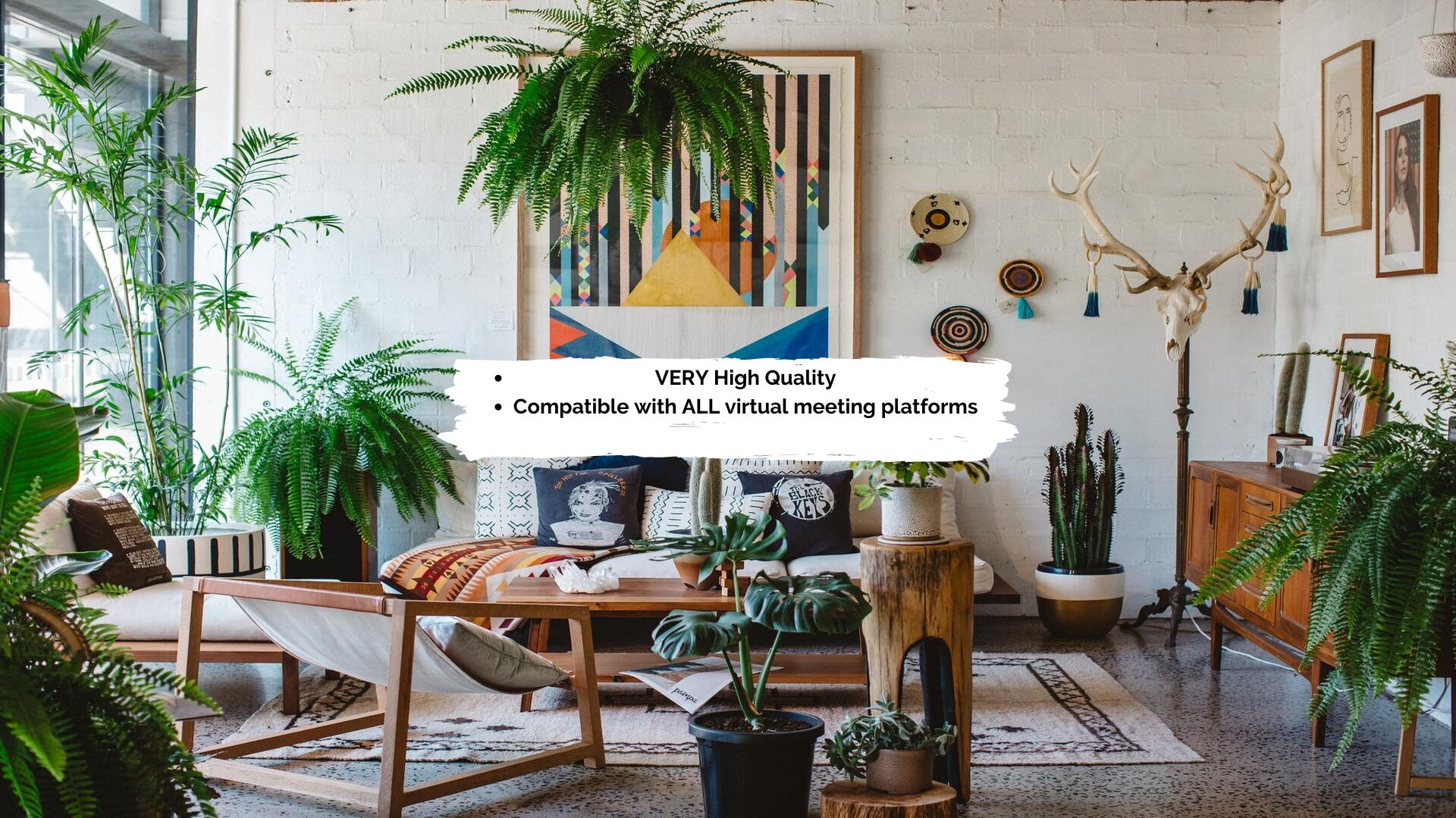 Zoom Background Plants Background - Etsy