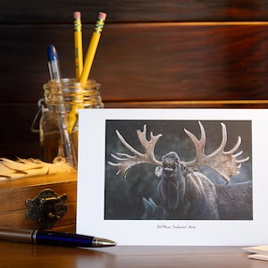 Set di 4 biglietti d'auguri sulla fauna selvatica dell'Alaska; biglietti vuoti 5x7 su carta di lino con buste, cancelleria, idee regalo per Natale, festività, compleanno.
