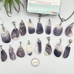 MEDIUM 1.5&quot; Wampum clam shell pendant necklace. Silver plated or black rope chain. Long Island, NY authentic beach find. Hand polished.