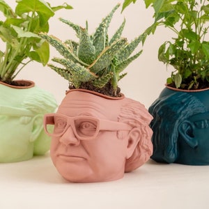 The Original Danny DeVito Frank Reynolds Head Planter For House Plants and Succulents