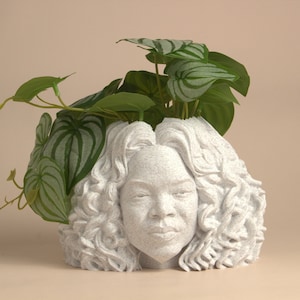 May include: White ceramic planter shaped like a woman's head with curly hair, holding a green plant with large leaves.