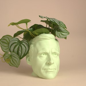 May include: A light green ceramic planter shaped like a human head with a leafy green plant growing out of the top.