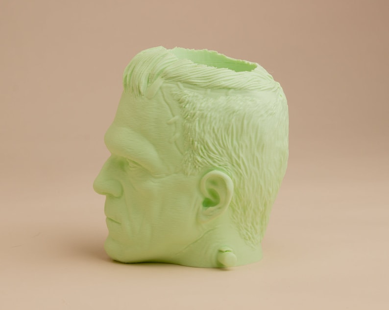 Frankensteins Monster Planter For Houseplants And Succulents image 3