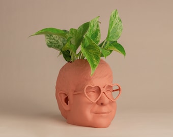 Der Elton John Planter für Zimmerpflanzen und Sukkulenten