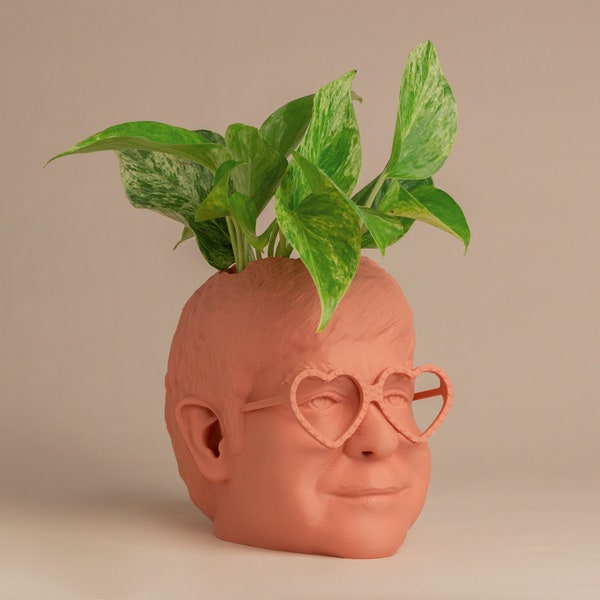 La fioriera Elton John per piante da appartamento e piante grasse