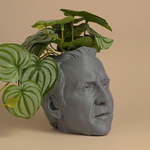 The Nicolas Cage Head Planter For House Plants and Succulents image 4