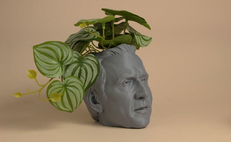 The Nicolas Cage Head Planter For House Plants and Succulents image 4