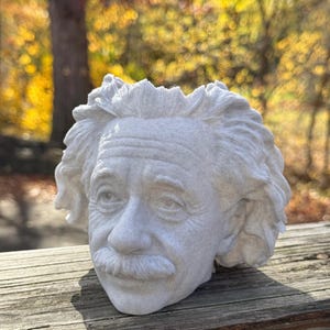 May include: A detailed, off-white bust of Albert Einstein, featuring his iconic hairstyle and mustache. The sculpture is textured and appears to be made of stone or a similar material. The bust is set against a blurred outdoor background.