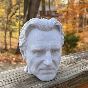 Liam Neeson Kruklåda för krukväxter och suckulenter bild 1