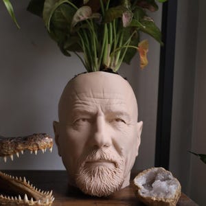 Walter White Bryan Cranston-planter voor kamerplanten en vetplanten