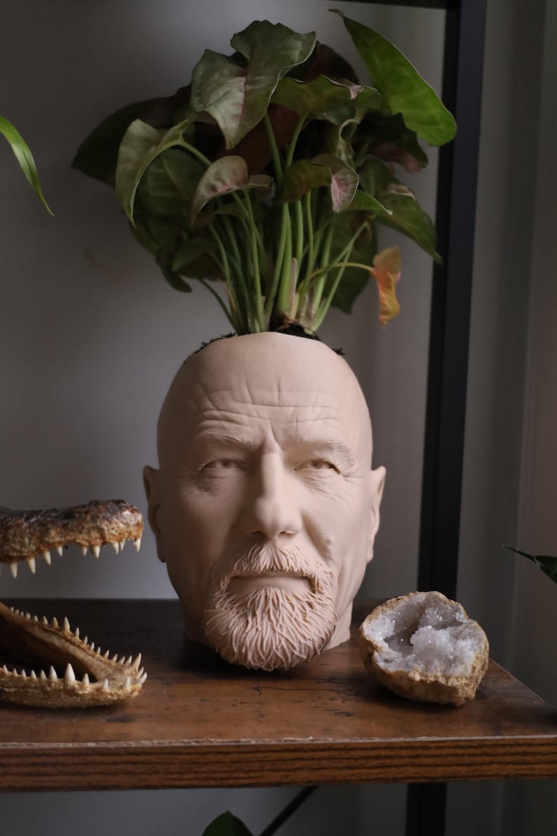 Walter White Bryan Cranston-planter voor kamerplanten en vetplanten afbeelding 1