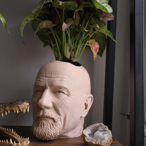 Walter White Bryan Cranston-planter voor kamerplanten en vetplanten afbeelding 3
