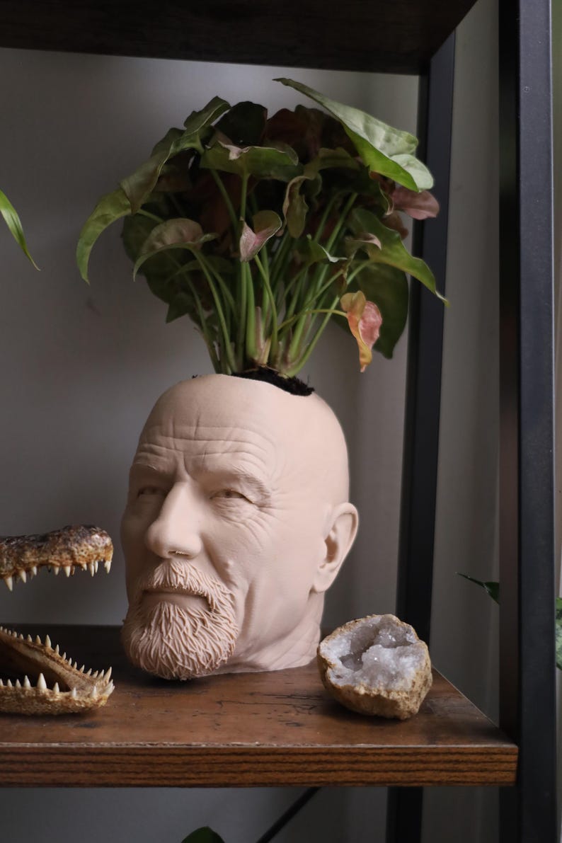 Walter White Bryan Cranston-planter voor kamerplanten en vetplanten afbeelding 3