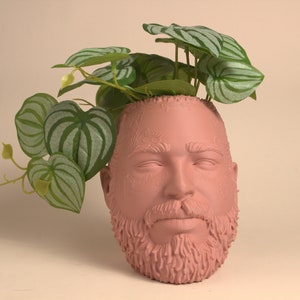 May include: A pink ceramic planter shaped like a person's head with a beard. The planter has a plant with green leaves growing out of the top.