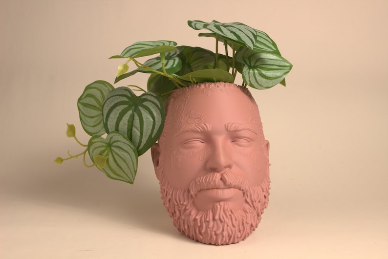 May include: A pink ceramic planter shaped like a person's head with a beard. The planter has a plant with green leaves growing out of the top.