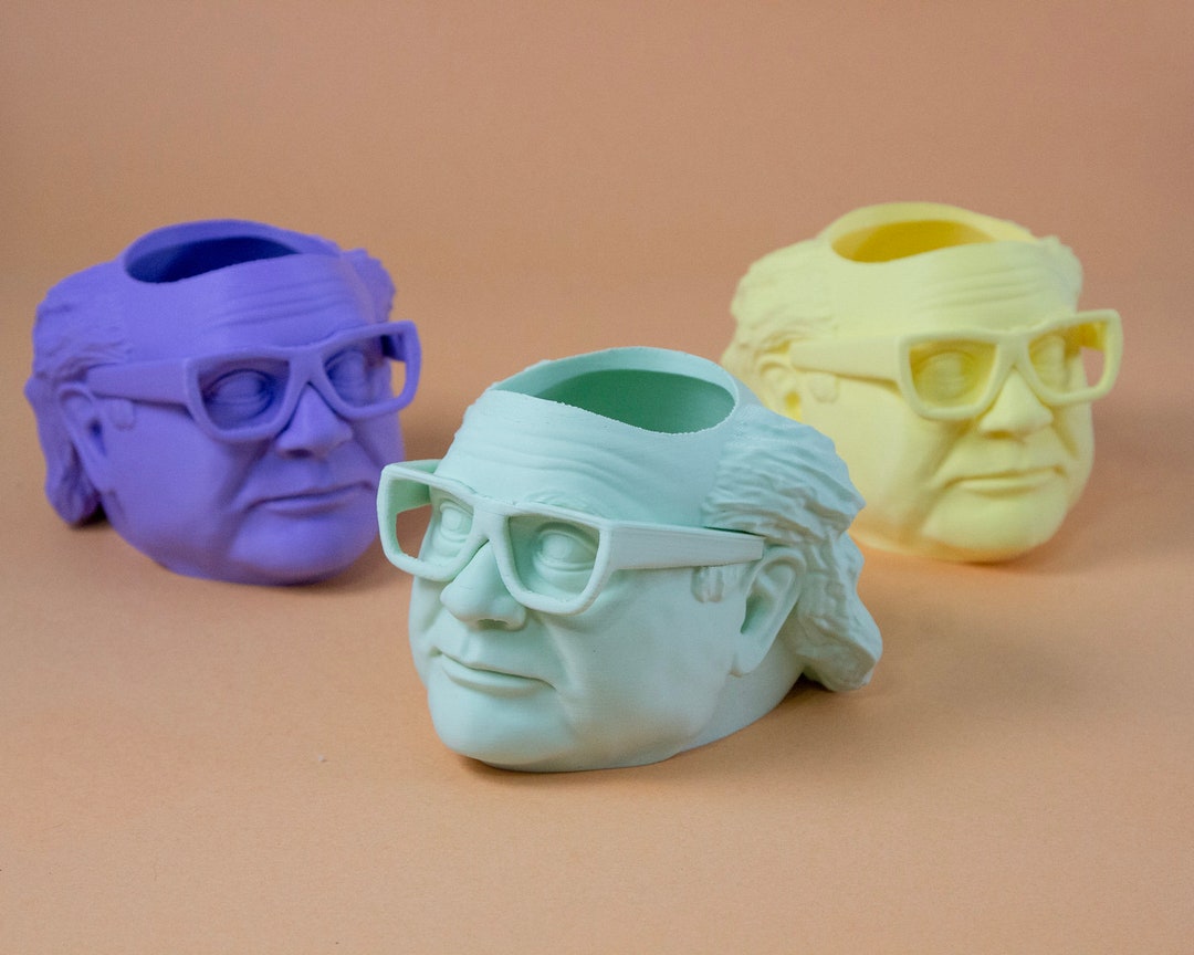 Danny Devito Planter Pot for House Plants and Succulents - Etsy
