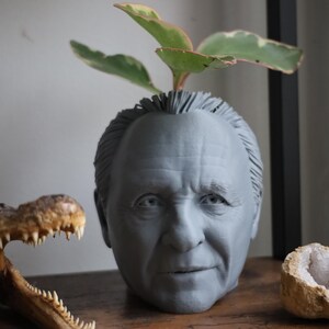 Vaso Anthony Hopkins Hannibal Lecter per piante da appartamento e succulente immagine 3