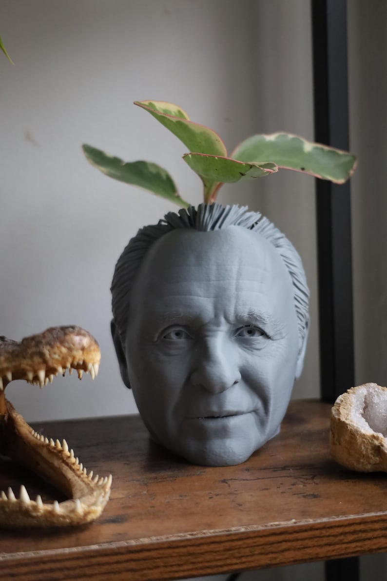 Vaso Anthony Hopkins Hannibal Lecter per piante da appartamento e succulente immagine 3