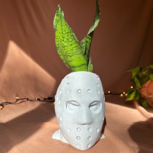 May include: White ceramic planter shaped like a hockey mask with a green snake plant growing out of the top.
