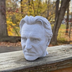 Liam Neeson Kruklåda för krukväxter och suckulenter bild 2