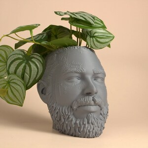 May include: A gray ceramic planter shaped like a human head with a beard. The planter is filled with a green plant with white stripes on the leaves.