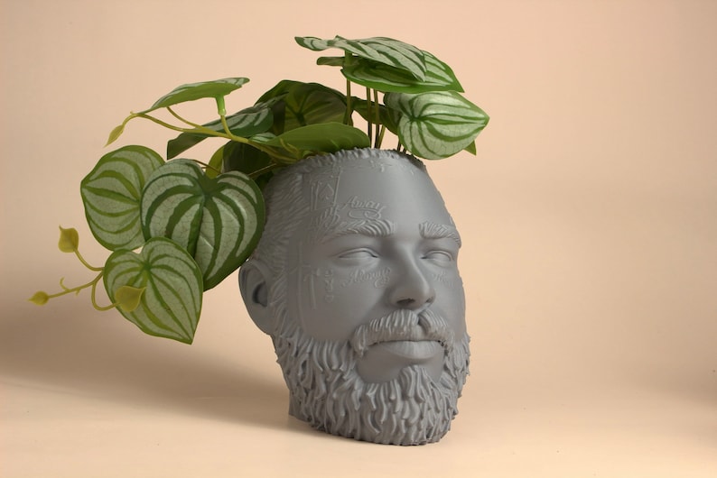 May include: A gray ceramic planter shaped like a human head with a beard. The planter is filled with a green plant with white stripes on the leaves.