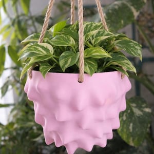 Pode incluir: Um vaso de flores rosa suspenso com um design texturizado e pontiagudo. O vaso é preenchido com plantas pothos variegadas verdes e brancas. O vaso é suspenso por uma corda natural.