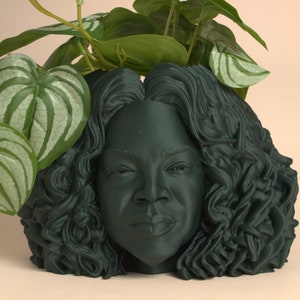 Puede incluir: Un macetero verde oscuro con forma de cabeza de mujer con cabello rizado. El macetero tiene una planta con hojas verdes que crecen desde la parte superior.