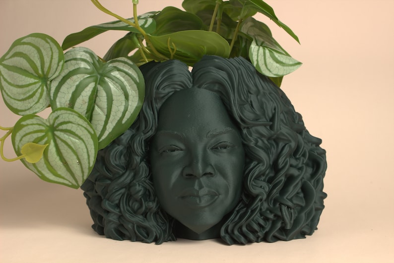 Puede incluir: Un macetero verde oscuro con forma de cabeza de mujer con cabello rizado. El macetero tiene una planta con hojas verdes que crecen desde la parte superior.