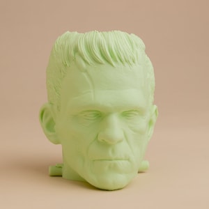 Frankensteins Monster Planter For Houseplants And Succulents image 2