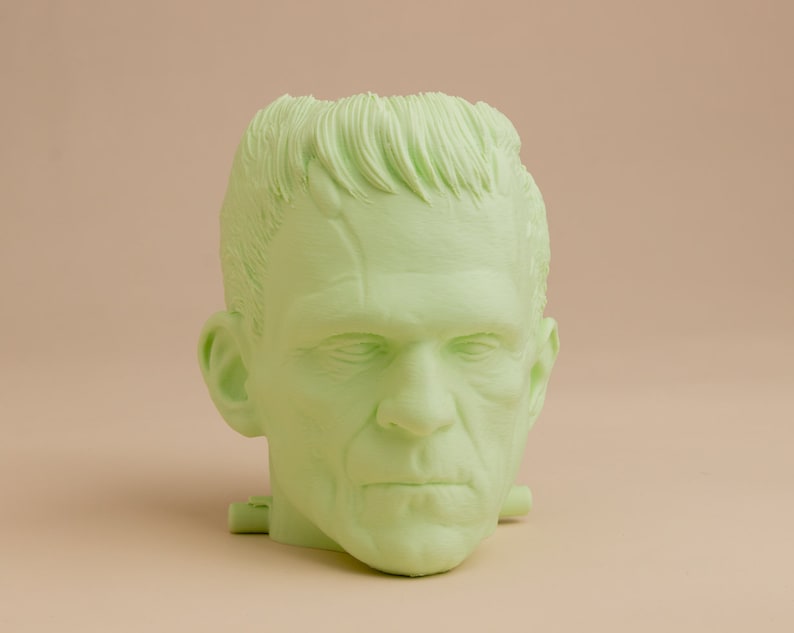 Frankensteins Monster Planter For Houseplants And Succulents image 2