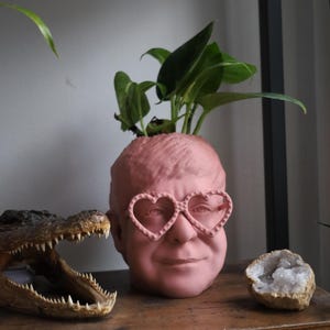 The Elton John Planter For House Plants and Succulents image 2