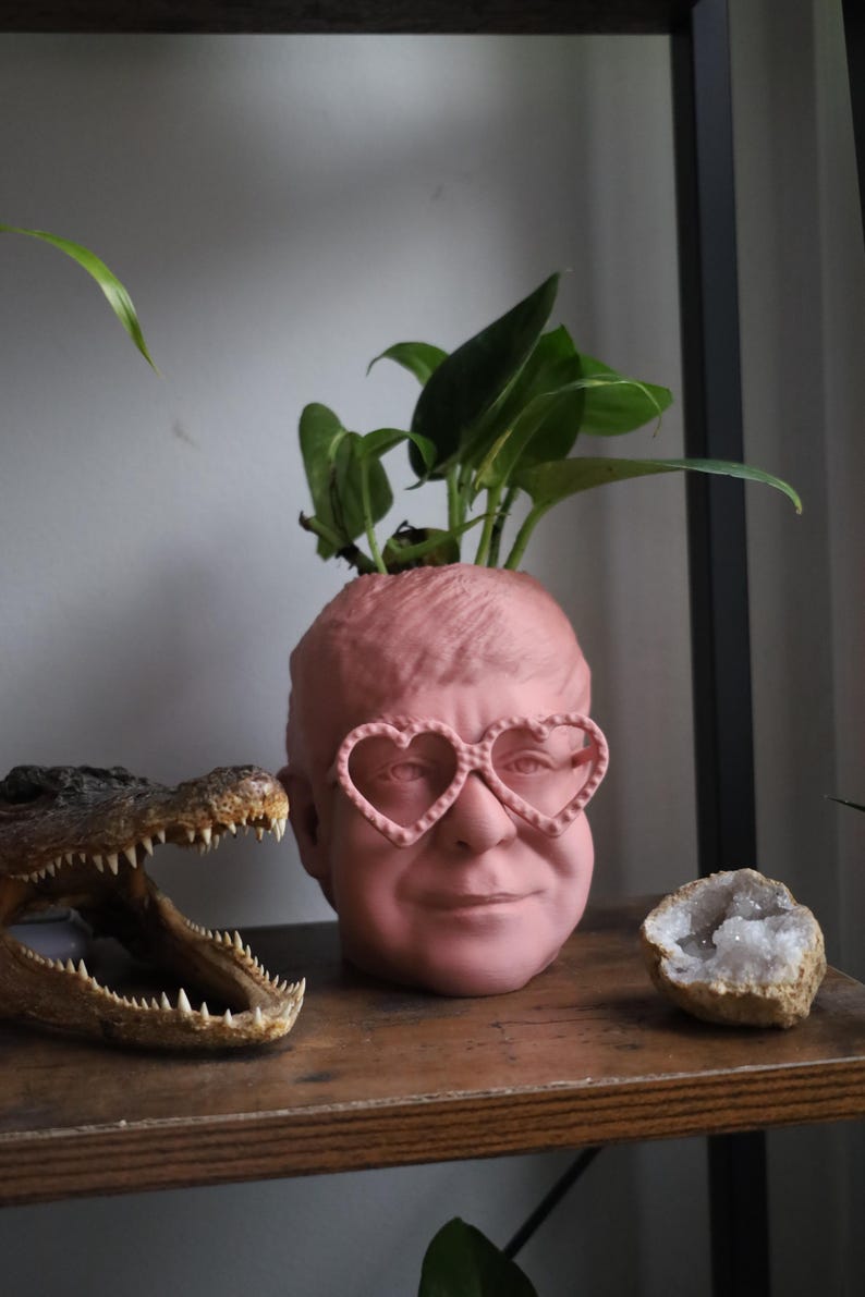 The Elton John Planter For House Plants and Succulents image 2