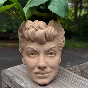 May include: A beige-colored planter shaped like a woman's head, with detailed facial features and curly hair. The top of the head is open, holding green leafy plants. The planter is sitting on a wooden surface.