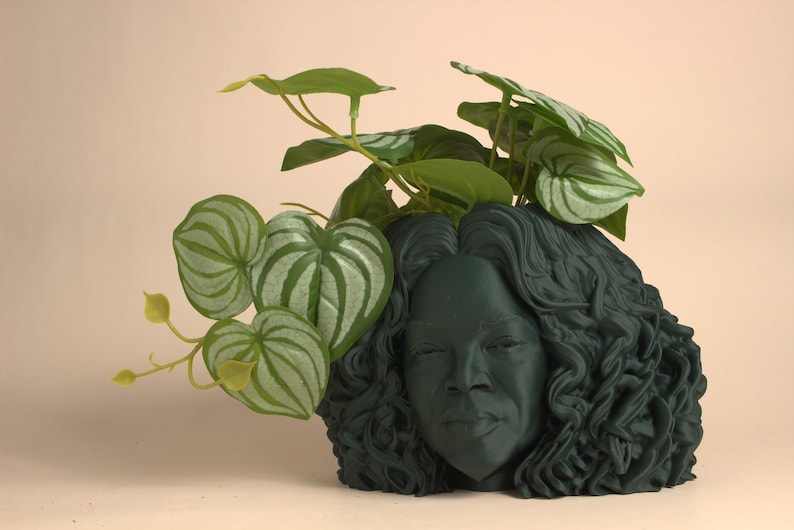 Puede incluir: Un macetero verde oscuro con forma de cabeza de mujer con cabello rizado. El macetero tiene una planta con hojas verdes y blancas que crecen desde la parte superior.