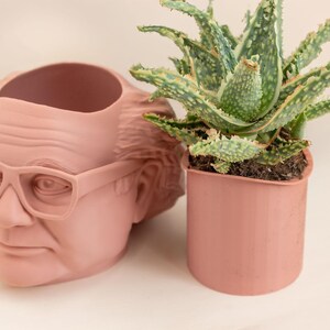 Op de afbeelding: Een roze keramische plantenpot in de vorm van een mensenhoofd met een bril, met daarin een groene succulent in een roze pot.