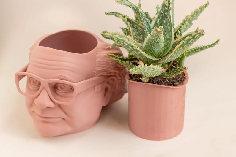 Op de afbeelding: Een roze keramische plantenpot in de vorm van een mensenhoofd met een bril, met daarin een groene succulent in een roze pot.