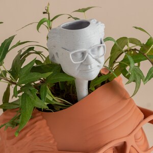 May include: A white ceramic planter shaped like a person's head with glasses. The planter has a hole in the top for planting. The planter is sitting on top of a terracotta planter shaped like a person's head with glasses. A green plant is growing out of the top of the white planter.