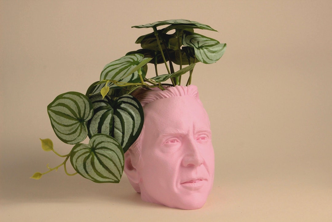 The Nicolas Cage Head Planter for House Plants and Succulents - Etsy