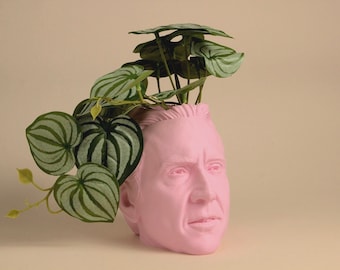 The Nicolas Cage Head Planter For House Plants and Succulents