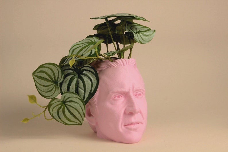 The Nicolas Cage Head Planter For House Plants and Succulents image 1