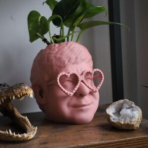 The Elton John Planter For House Plants and Succulents image 3