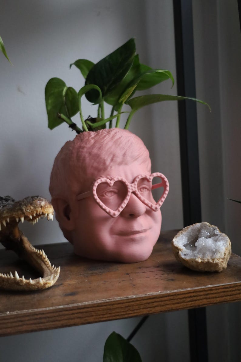 The Elton John Planter For House Plants and Succulents image 3