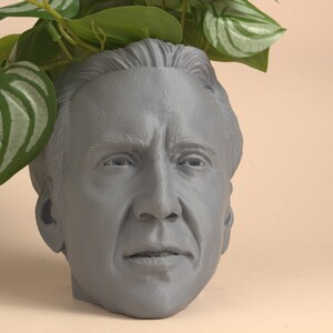 The Nicolas Cage Head Planter For House Plants and Succulents image 2